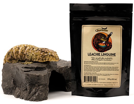 화면 캡처 2026-01-08 013808.jpg